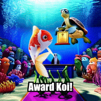 Koi Fish Awards GIF by TheConfishius
