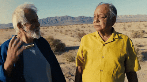 Cheech And Chong Smoke GIF by Cheech & Chong’s Last Movie