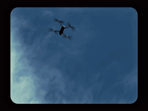 Embrace Transformation