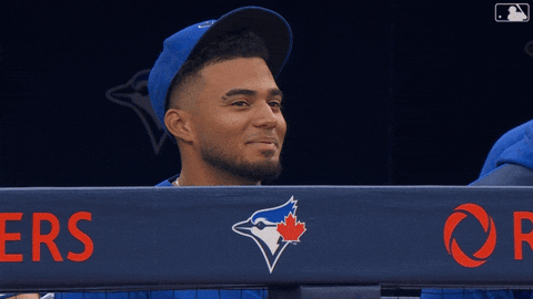 Blue Jays Smile GIF by Toronto Blue Jays