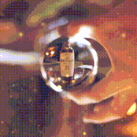 single malt whiskey GIF