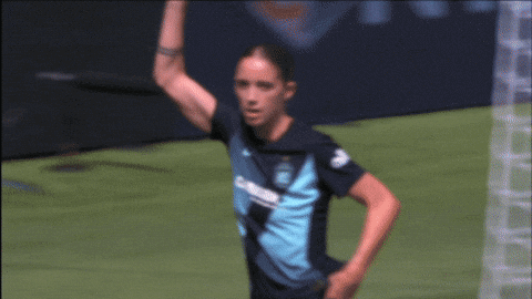 Celebrate New York GIF by National Women's Soccer League