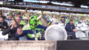 Nrl Greenmachine GIF by Canberra Raiders