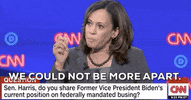Kamala Harris Dnc Debates 2019 GIF by GIPHY News