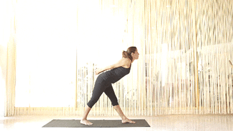 yogi GIF