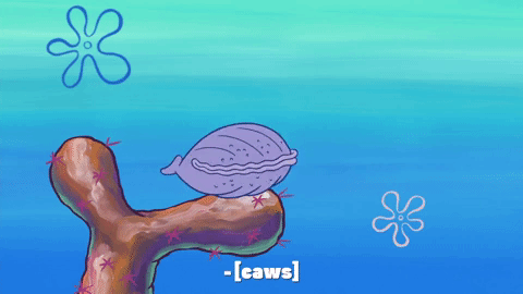 giphy.gif