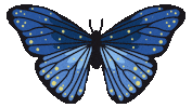 ritagifseadesivos butterfly flores borboleta asas Sticker