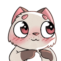 Sorry Cat Sticker