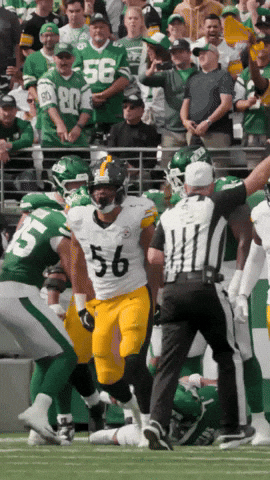 Excited Celebration GIF by Pittsburgh Steelers