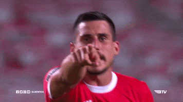 Sl Benfica Kiss GIF by Sport Lisboa e Benfica
