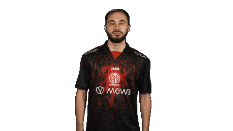 Mainz 05 Football Sticker by Bundesliga