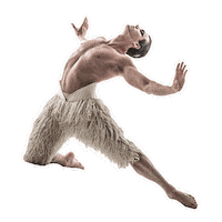 Swan Lake Dance Sticker by New York City Center