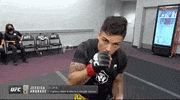 Jessica Andrade Sport GIF by UFC
