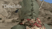Star Wars Chinchilla GIF by Woot!