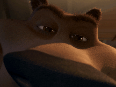 open season yes GIF by Sony Pictures Animation