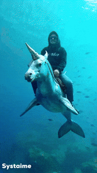 Water Dream GIF by systaime