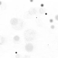 black and white loop GIF by Doze Studio