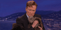 GIF by Team Coco