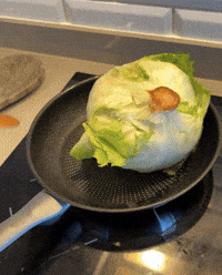 Bonk Lettuce GIF