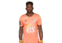 rcsa celebration racing 30 ligue1 Sticker