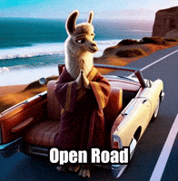 Open Road Summer GIF by dalaillamazen