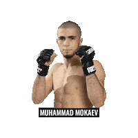 Mixed Martial Arts Mma Sticker by BRAVE Combat Federation