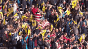 flags sixways GIF by Worcester Warriors