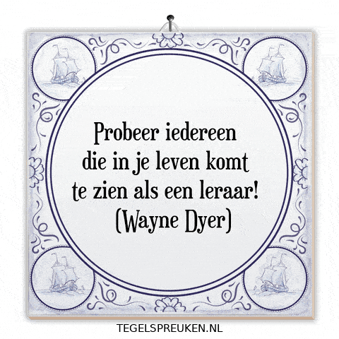 Coaching Nl GIF by Tegelspreuken.nl