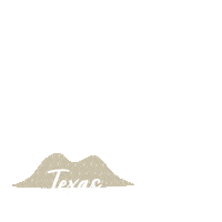 Texas Love Sticker by AnnamLife