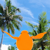 Brrd GIF