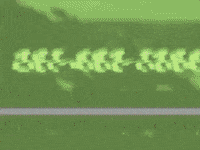 music video GIF by Dr. Dog