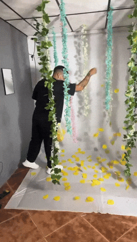 giphy.gif