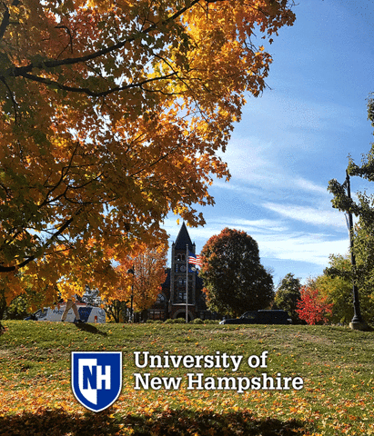 new hampshire fall GIF by University of New Hampshire