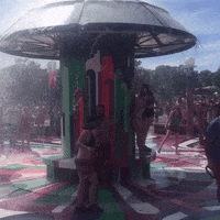GIF by Bonnaroo Music and Arts Festival
