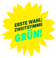 Landtagswahl Sticker by Grüne Sachsen-Anhalt