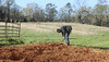 Spring Working GIF by JC Property Professionals