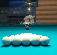 Party Dog GIF
