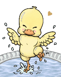 Baby Bird Happy Dance Sticker