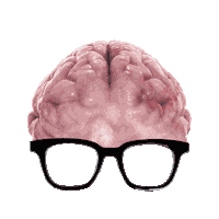 justingammon sticker face alien glasses Sticker