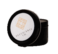 Small Business Candle Sticker by luccicante co.