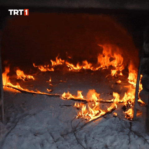 Punish The End GIF by TRT