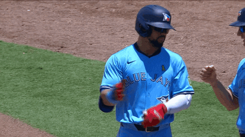 Blue Jays Baseball GIF by Toronto Blue Jays