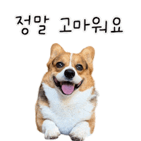 Corgi Milo Sticker