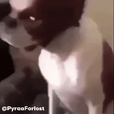 Happy Instagram GIF