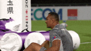World Rugby Sport GIF by Rugby World Cup