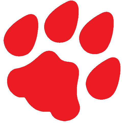 wildcats Sticker by University of Arizona Alumni Association
