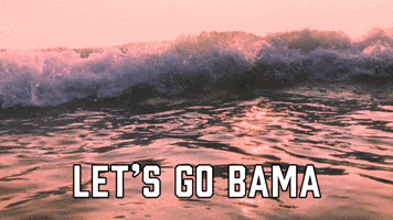Let's Go Bama