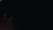 the other GIF by Lauv