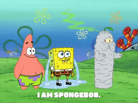 season 4 GIF by SpongeBob SquarePants