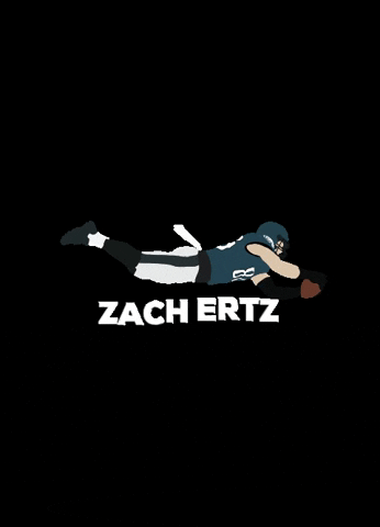 speetzialprints football nfl eagles philadelphia eagles GIF